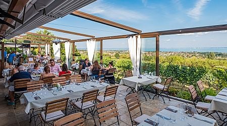 New Gastronomic Guide Lists the Best Culinary Offers at Lake Balaton