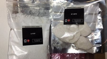 Record amounts of pregabalin, clonazepam seized in Finland in H1