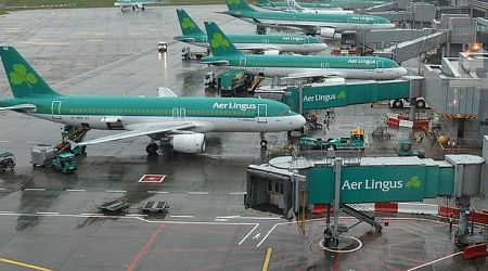 Aer Lingus cancels 122 more flights next week; Labour Court invites both sides to meeting on Monday in fresh bid to resolve row