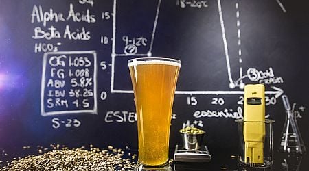 Now AI will tell you if your beer is any good