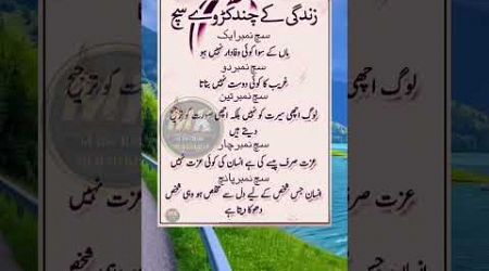 #quotes #urdu #poetry #explore #islamicaqwalzareen #viralvideo #youtubeshorts