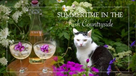 Irish Cottage Garden | Living in Ireland Vlog | Slow Living | Rescuing a Stray Cat