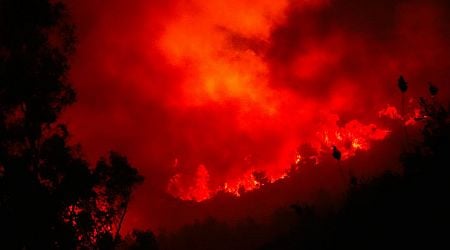 Brits in Turkey warned as wildfires rage and told 'relocation may be necessary'