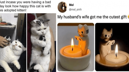 A Sweet Spoonful Of Wholesome Cat Memes To Add To Your Sunday Meowrning Coffee