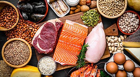 The Ultimate Visual Guide to Protein: Making Sure You Eat Enough Each Day