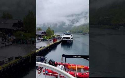 Fjords Trip in Norway #travel #norwaytravel