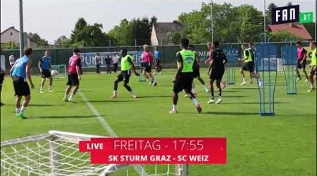 Sturm Graz live auf fan.at und Krone TV!