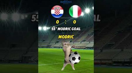 Croatia VS Italy EURO 2024 Cat Memes Football Highlights #euro2024 #football #soccer