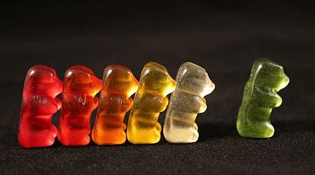 Horrific: 31 foreigners fall ill from cannabis gummies in Budapest