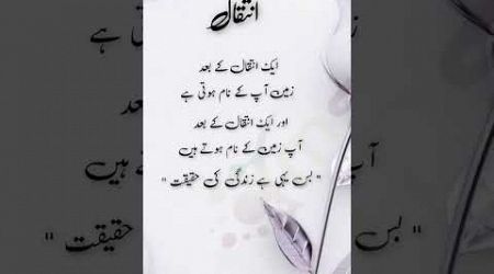 Islamic Urdu quotes #ytshorts #shortsfeed #poetry #islamicquotesinurduhindi #urduquotes #shorts