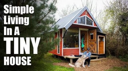 Man &amp; His Dog Live In Swedish Inspired Tiny House | Off Grid Living