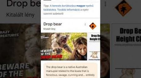 drop bear #animal