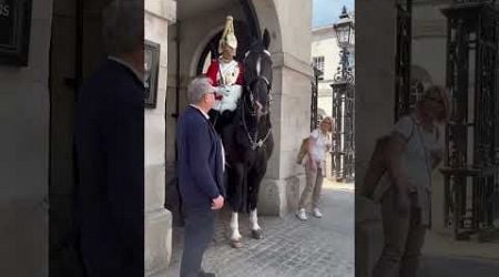 satisfying horses #horse #unitedkingdom #police #shorts #trending