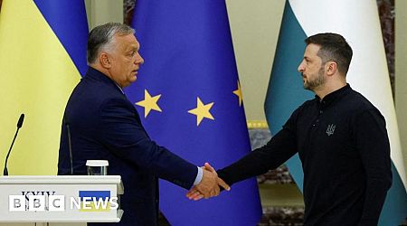 Hungary's Orban urges ceasefire on Kyiv visit