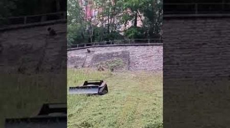 Vigorun lawn mower to tackle the steep slopes of a picturesque castle park in the Czech Republic 01