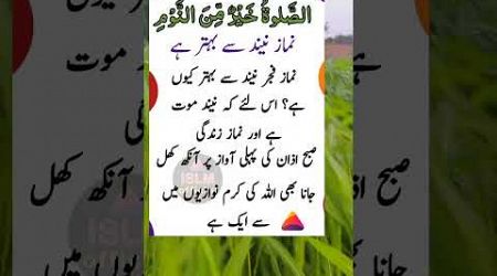 Namaz neend say behtar hai||UrduQuotes||Shorts Video||Islamic Quotes||Urdu Poetry||Viral