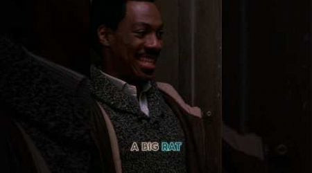 Eddie Murphy - Coming To America: Akeem Tells Lisa There&#39;s A Rat In His Apartment #shorts