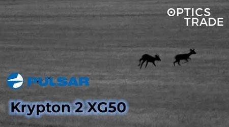 Deer mating with Pulsar Krypton 2 XG50 | Optics Trade See Through