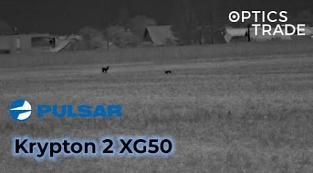 Deer and fox with Pulsar Krypton 2 XG50 | Optics Trade See Through