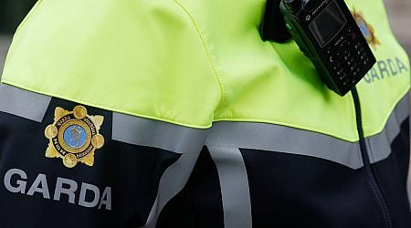 More than 40 Garda members convicted or given probation over last decade