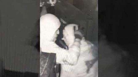 Thieves were caught embracing and high-fiving after clearing out a jewelry store&#39;s ENTIRE inventory