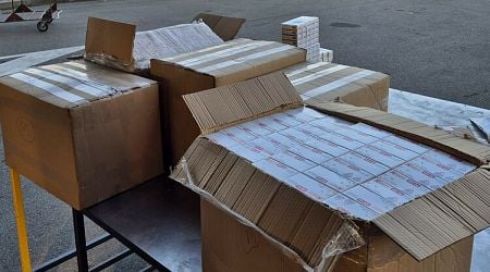 Customs Officers Seize Smuggled Medicines at Kapitan Andreevo