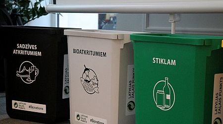 Competition watchdog allows waste management merger