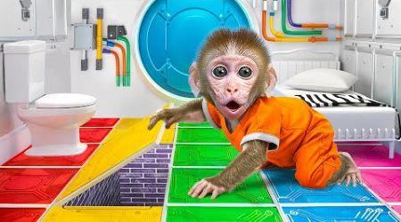 KiKi Monkey find the way to escape from Impossible Rainbow Prison &amp; go swimming | KUDO ANIMAL KIKI
