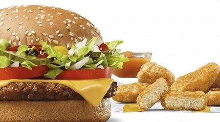 Do US fast-food customers want plant-based meat?