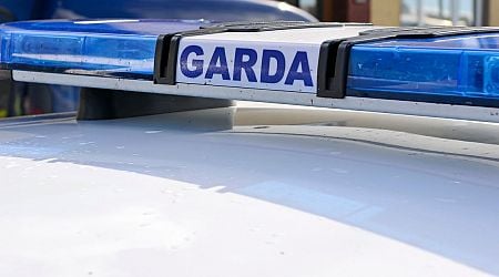 Gardai arrest five people as part of new crackdown on asylum seekers who fail in bid to stay in Ireland