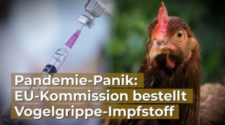 Pandemie-Panik: EU-Kommission bestellt Vogelgrippe-Impfstoff