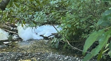 Firefighting foam spill in Abbotsford creek alarms residents