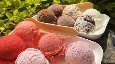 Top scoop: Belgium serves up cool ices this summer
