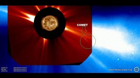 Large Sungrazing Comet Plunging Into the Sun