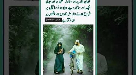 Love status couple videos Urdu Hindi status #Shorts #Urdupoetry #Youtubeshorts #Viralvideos # poetry