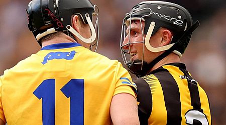Nicky English: Kilkenny and Limerick still look best bets to meet in another hurling final