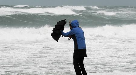 Code Yellow warning for heavy gusts of wind in most of the Netherlands