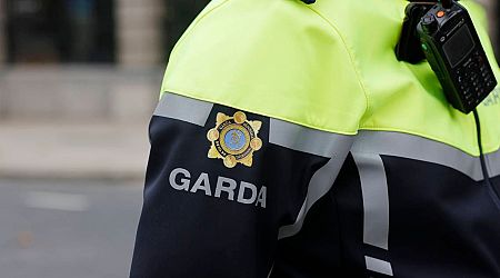 Bodies of two men found in Grand Canal in Dublin