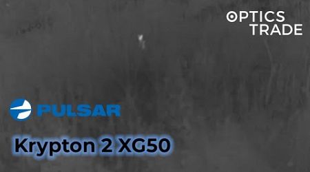 Foxes with Pulsar Krypton 2 XG50 | Optics Trade See Through