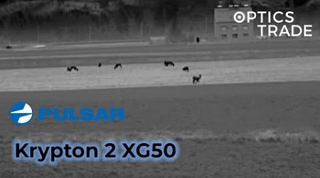 Deer and Foxes with Pulsar Krypton 2 XG50 | Optics Trade See Through