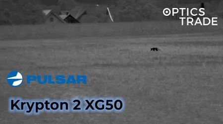 Deer, Fox and Rabbit with Pulsar Krypton 2 XG50 | Optics Trade See Through