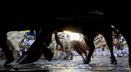 Watch: Historic San Fermin bull running festival gets underway in Spain