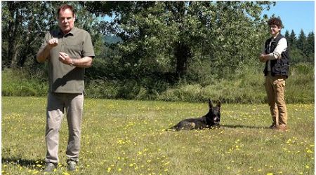 Combining Body Language With Verbal Commands! | Kraftwerk K9 German Shepherds