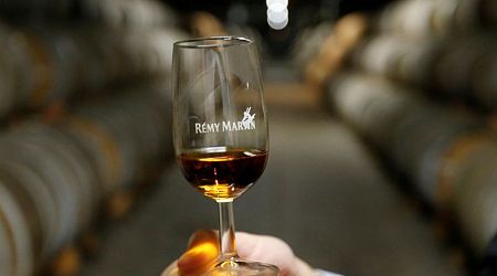 China cognac probe is a reaction to EU car tariffs, says Hennessy owner LVMH