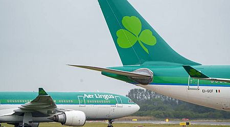 Aer Lingus dispute - what happens next and who has paid the price so far?