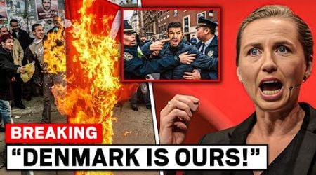 How Denmark CRUSHED The Immigration Crisis SHOCKS EVERYONE!