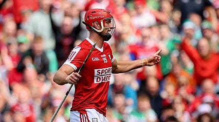 Brian Hayes drops F-bomb on live television as he celebrates Cork victory