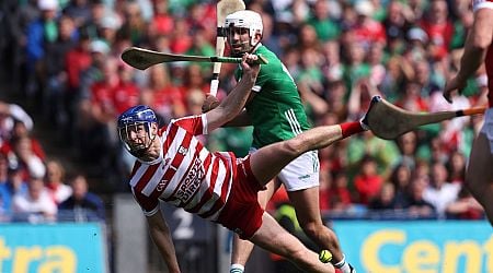Cork fans name their 'unsung hero' of epic semi-final victory over Limerick 