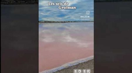 salin au sud de la France French salt