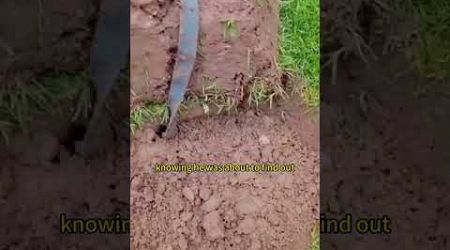 Rescuing a dog buried in the dirt#shortsvideo#shorts#Animal#cute#pet